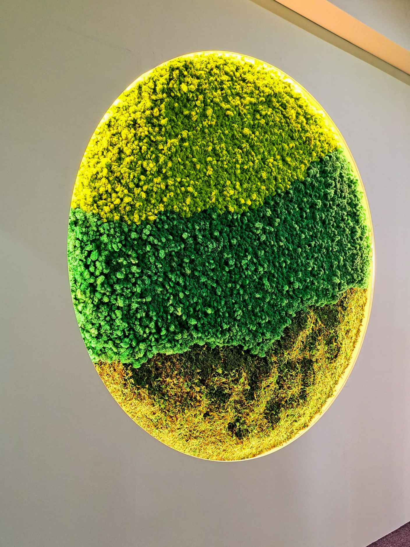 Moss Wall Preserved Wall Singapore Malaysia Philippines Office Design Interior Design
