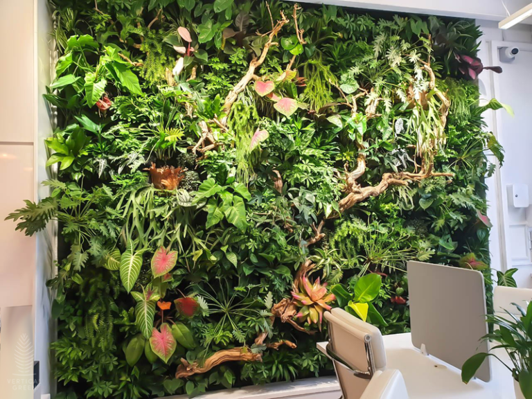 HyGro™Wall V: A New Level of Biophilic Design