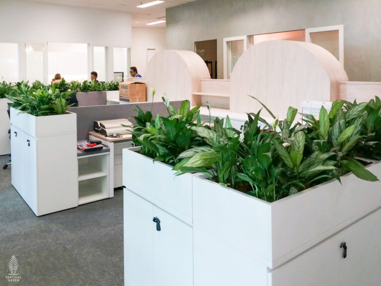 Live Tree Live Potted Plant Office Design Interior Design Vertical Green Singapore Malaysia Philippines Vertical Green Global