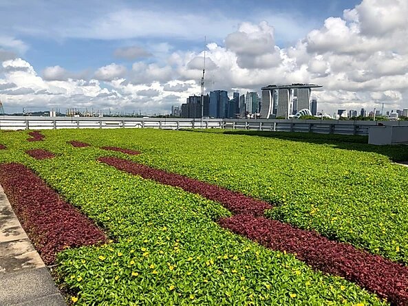 Landscape Greenery Landscape Plants Roof Plants Vertical Green Singapore Malaysia Philippines Vertical Green Global